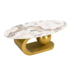 Modern Oval Coffee Table, Irregular Marble Center Table with Gold Steel Base for Living Room